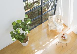 モデルハウスの見学する事ができる